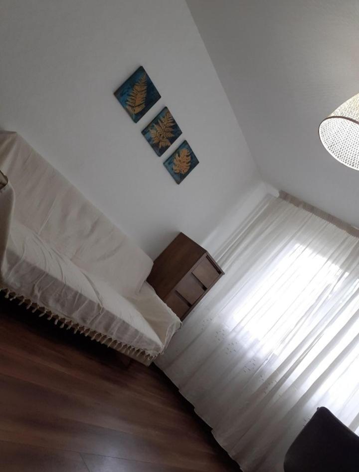 Silene Studio Craiova Exterior foto